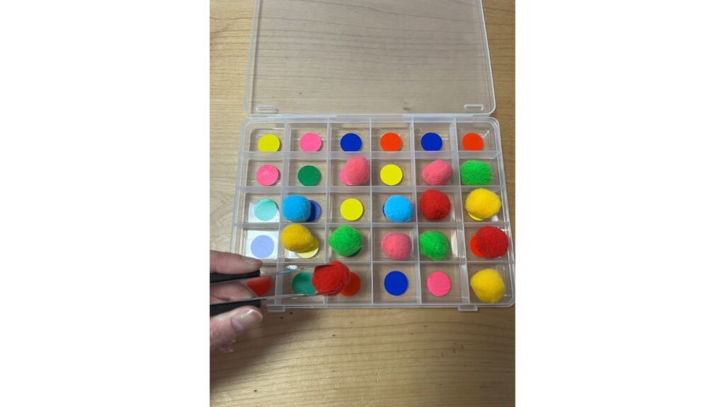 色分けトング遊び